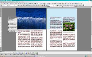 Placed and formatted images, runaround controls and images with captions are all possible in Word.