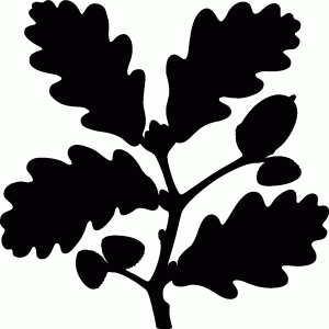 nt-a3_45-leaf-black